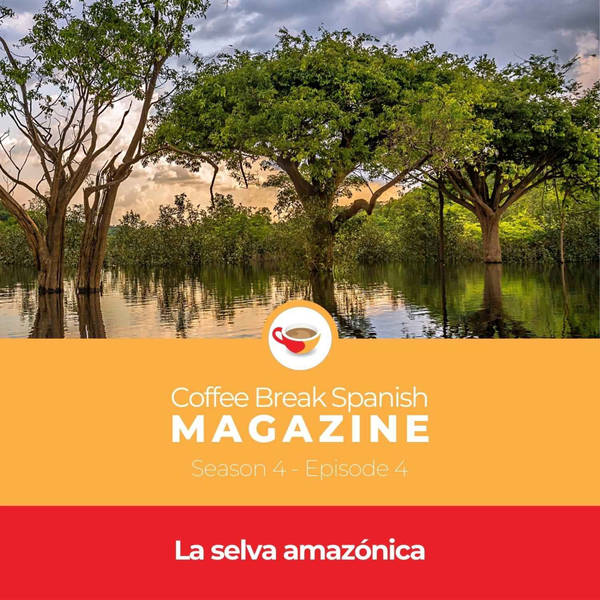 CBS Mag 4.04 | La selva amazónica