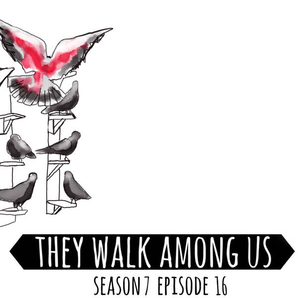 Season 7 - Episode 16