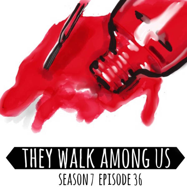 Season 7 - Episode 36
