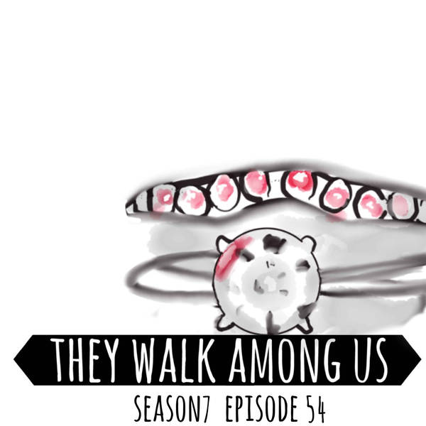 Season 7 - Episode 54