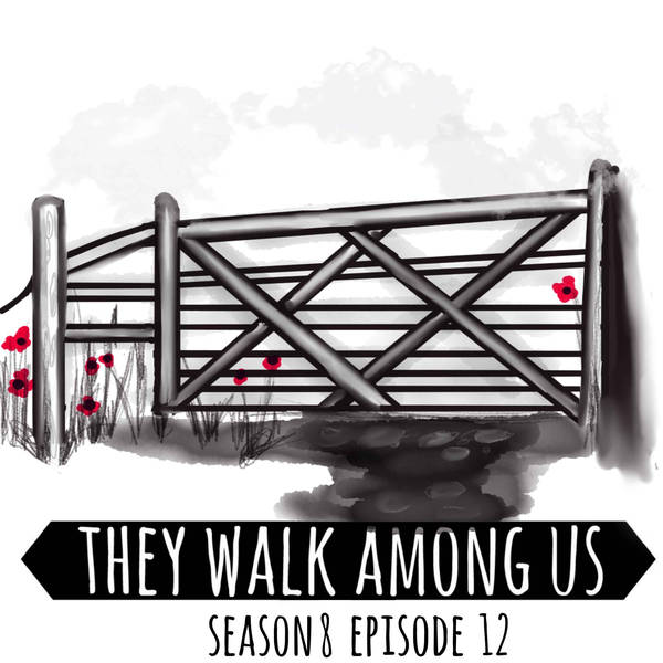 Season 8 - Episode 12
