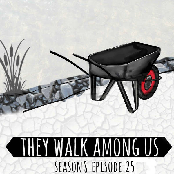 Season 8 - Episode 25