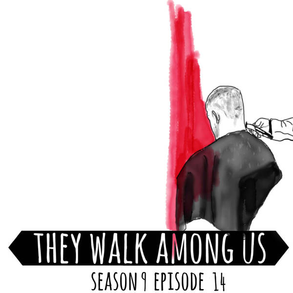 Season 9 - Episode 14