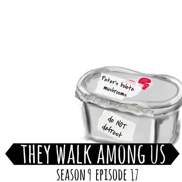 Season 9 - Episode 17