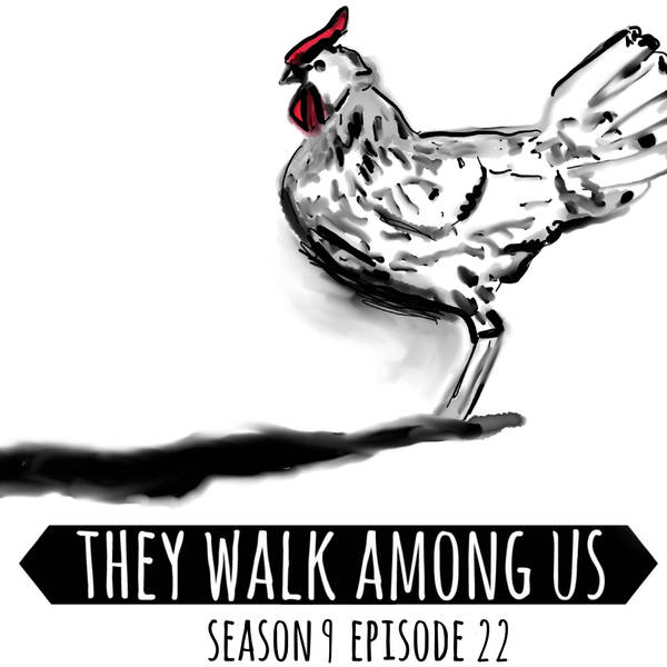 Season 9 - Episode 22