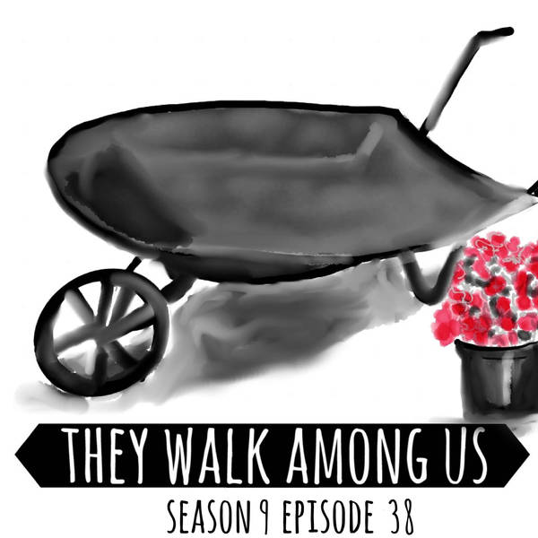 Season 9 - Episode 38