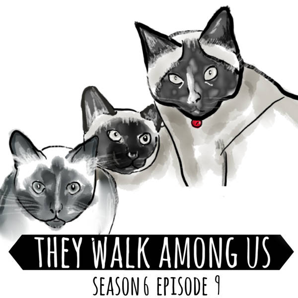 Season 6 - Episode 9
