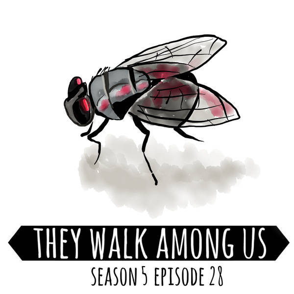 Season 5 - Episode 28
