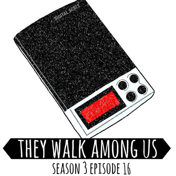 Season 3 - Episode 16