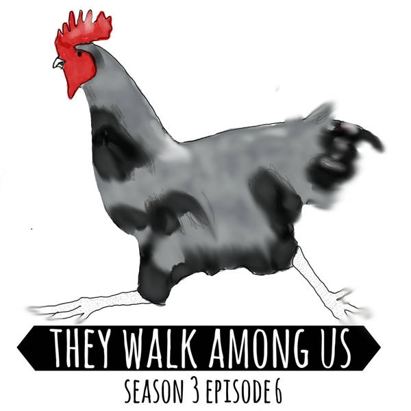 Season 3 - Episode 6