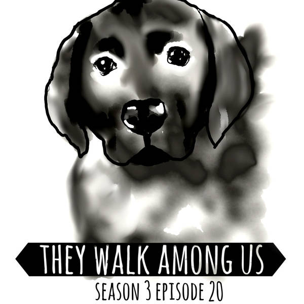 Season 3 - Episode 20