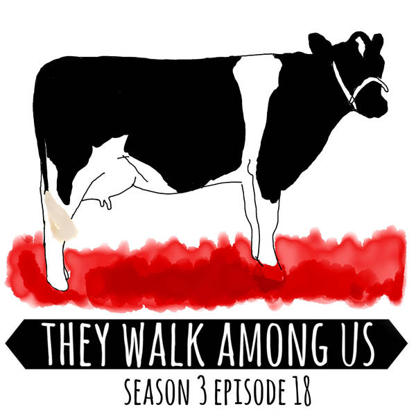 Season 3 - Episode 18