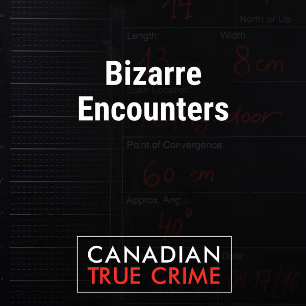 Bizarre Encounters