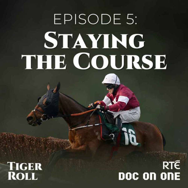Tiger Roll, The People's Horse: 05 - Staying The Course