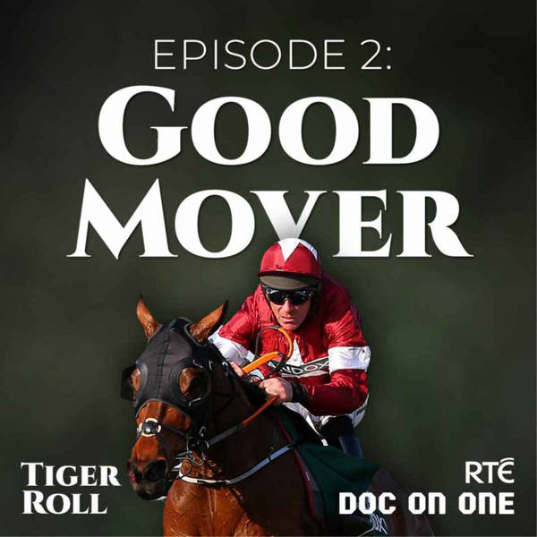 Tiger Roll, The People's Horse: 02 - Good Mover