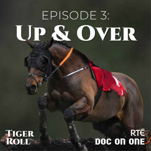 Tiger Roll, The People's Horse: 03 - Up And Over