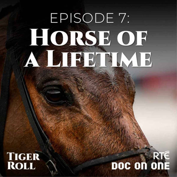 Tiger Roll, The People's Horse: 07 - Horse of a Lifetime