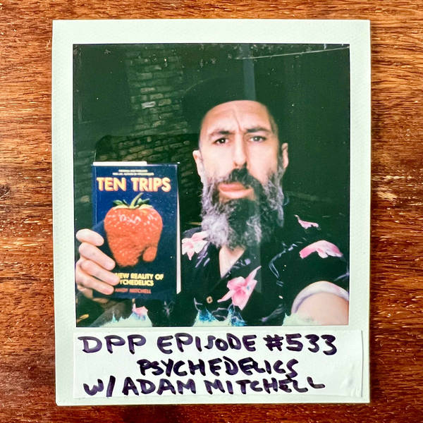 Psychedelics w/ Andy Mitchell • Distraction Pieces Podcast with Scroobius Pip #533