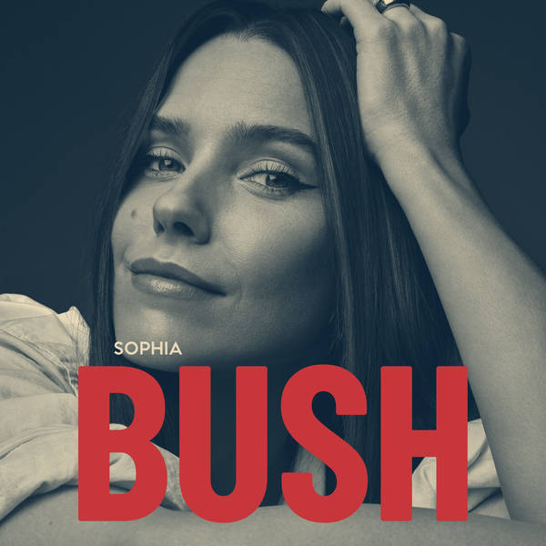 Sophia Bush Returns!