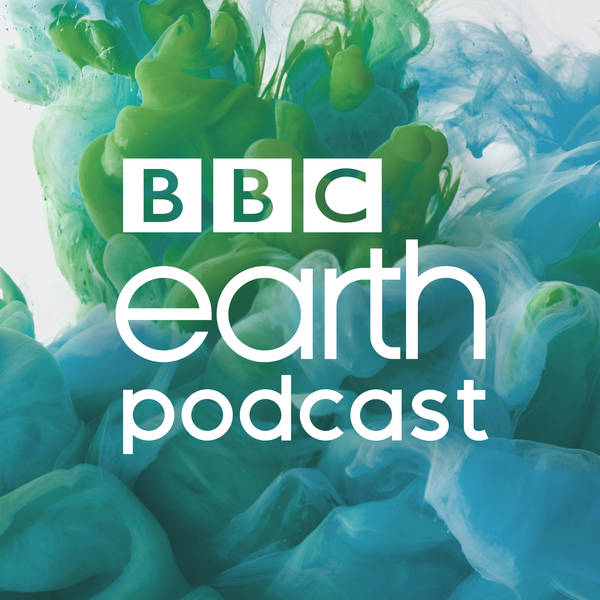 Introducing: BBC Earth Podcast