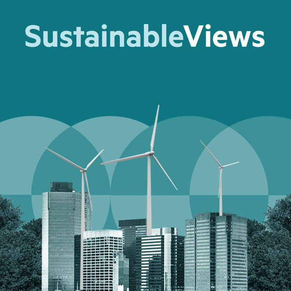 Trailer: Sustainable Views, the podcast