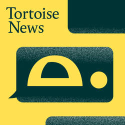 Tortoise News image