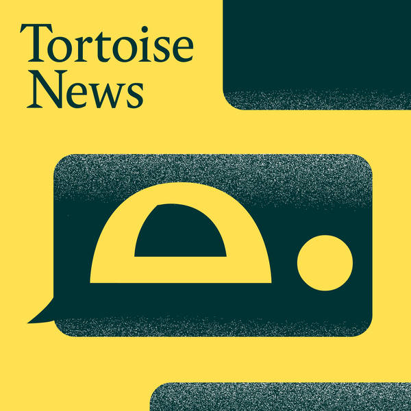 Tortoise News