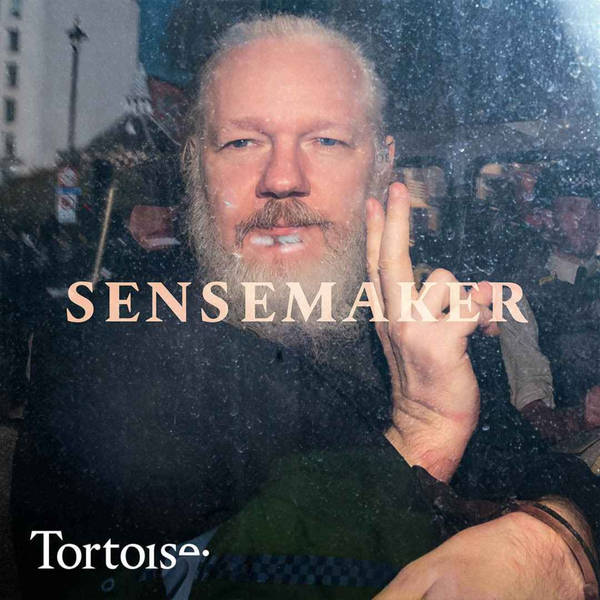 Sensemaker: The case against Julian Assange
