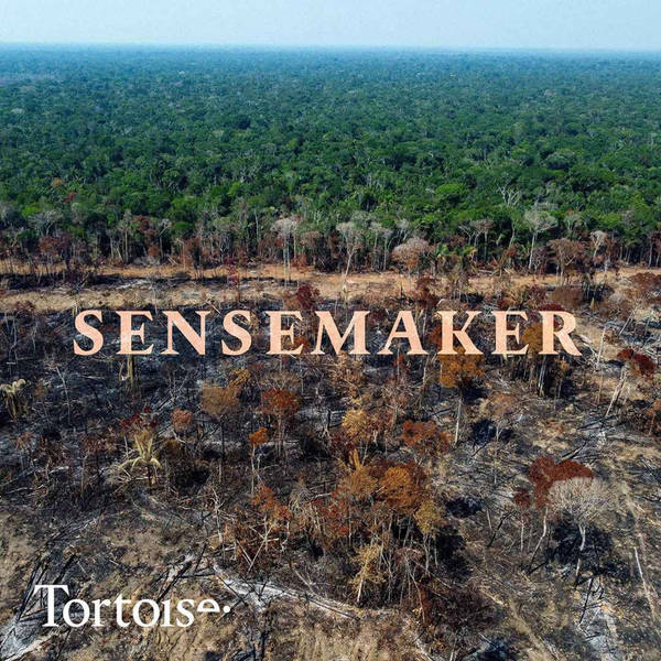 Sensemaker: The race to save the Amazon