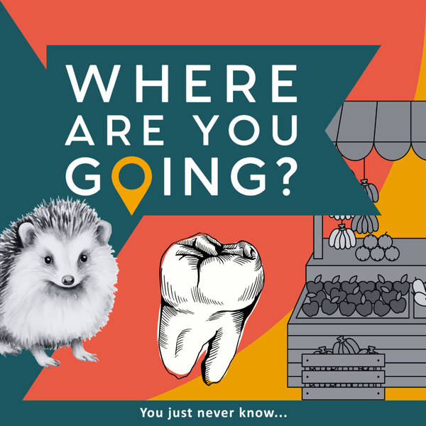 A Market, a Tooth and a Hedgehog