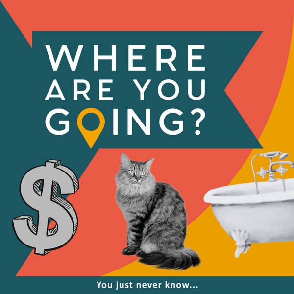 A Bath, a Cat and Billions of Dollars