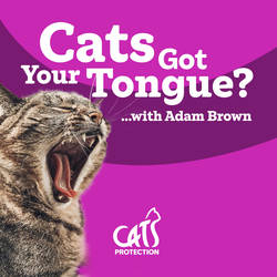 Cats Got Your Tongue? image