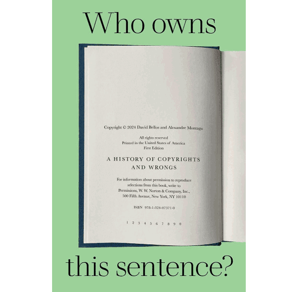 David Bellos - Who Owns This Sentence