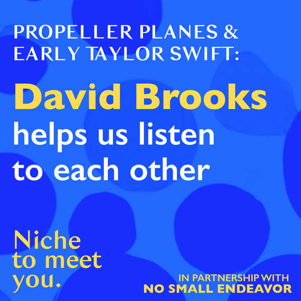 Propeller planes and early Taylor Swift: David Brooks helps us listen to each other (with Lee C. Camp)