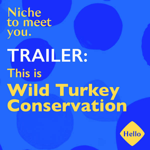 This is Wild Turkey Conservation