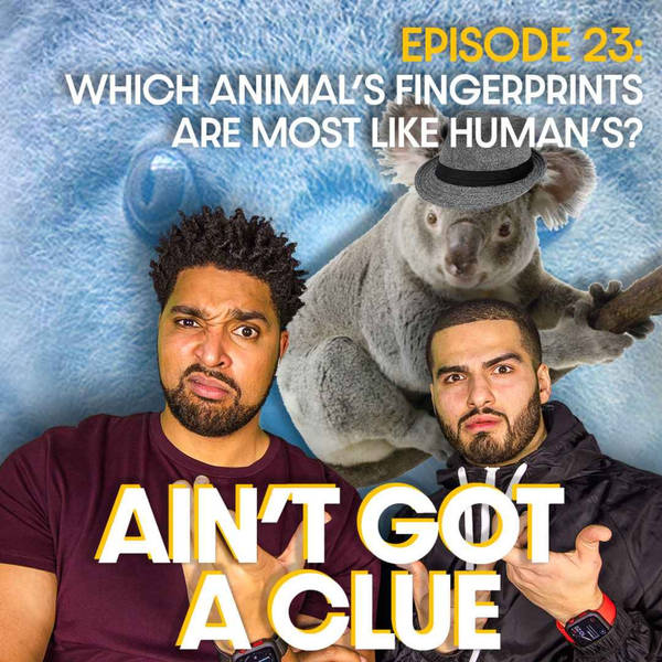 023 - Which animal's fingerprints are most like humans?