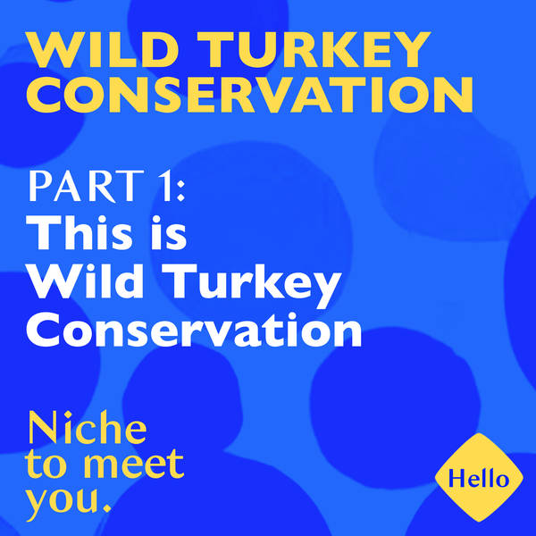 Wild Turkey Conservation | 1: This is Wild Turkey Conservation