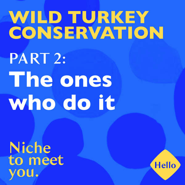 Wild Turkey Conservation | 2: The ones who do it