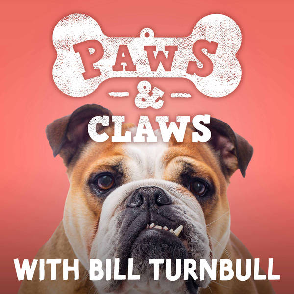 Paws and Claws with Bill Turnbull