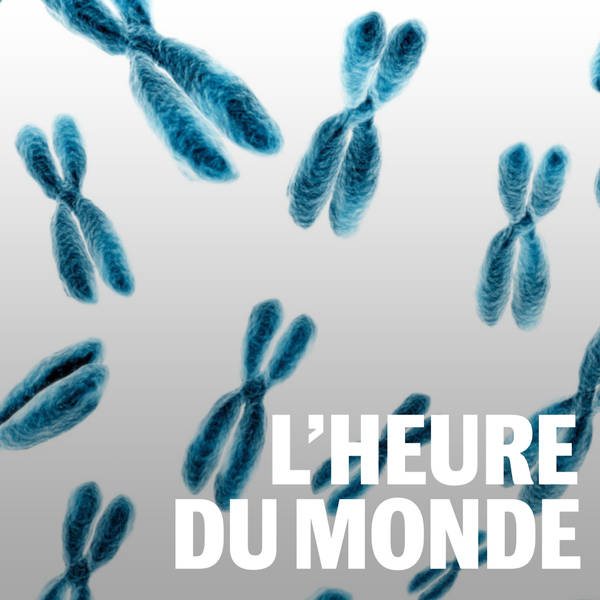 Le chromosome Y est-il menacé d’extinction ?