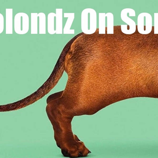 Episode 3: Todd Solondz talks Wiener Dog and other movies