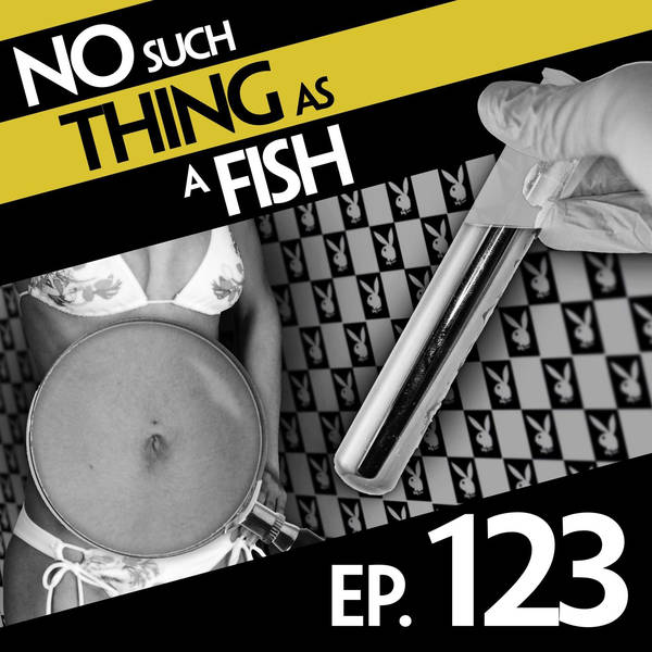 No Such Thing As A Molten Lava Football Pitch