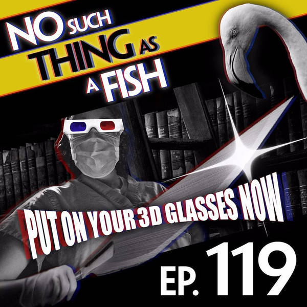 119: No Such Thing As 4D Surgery