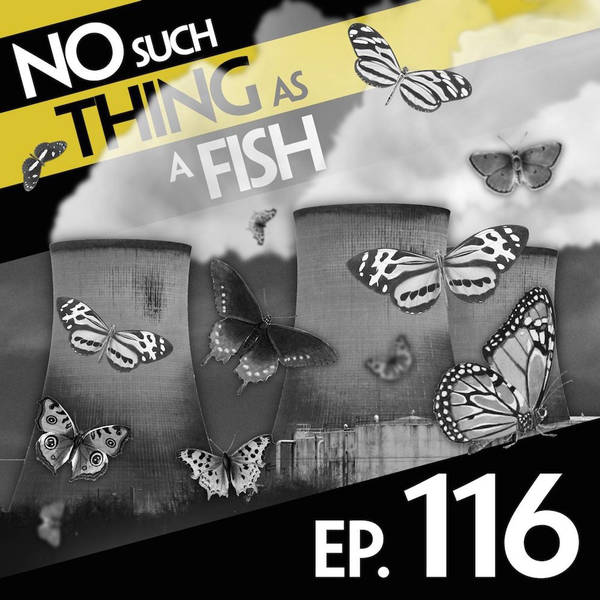 No Such Thing As Notting Mountain