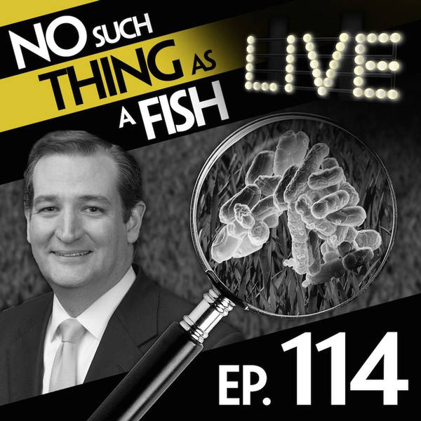 No Such Thing As A Tantrump