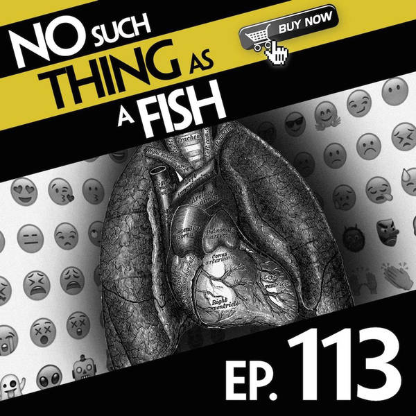 113: No Such Thing As A Flycycle