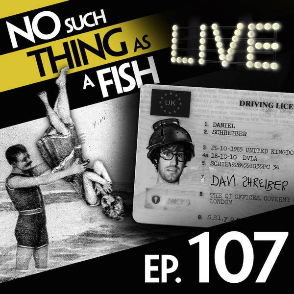 No Such Thing As Gorillas On The Beach