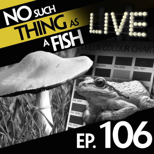 No Such Thing As A Six-Tier Japanese Human Pyramid