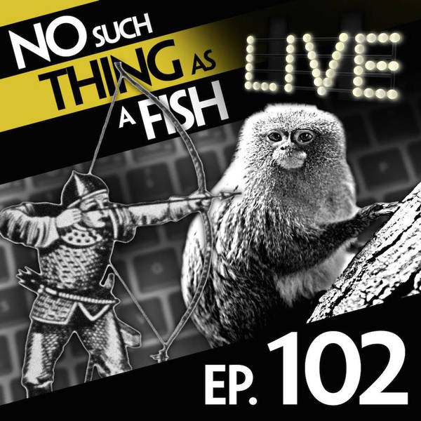 102: No Such Thing As A Water Mortar