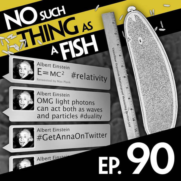 90: No Such Thing As The Brilliant Billion